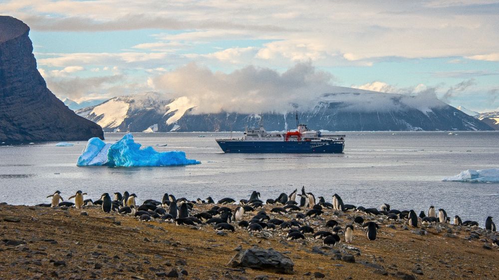 Antarctica's Weddell Sea image