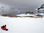 Image: Ice and penguins - Antarctic Peninsula and the Shetland Islands