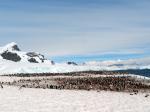 Image: Cuerville Bay - Antarctic Peninsula and the Shetland Islands