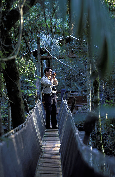 AR07YA_Canopy_Walk.jpg [© Last Frontiers Ltd]