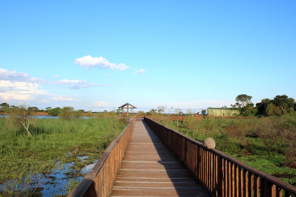 AR2404LD220_casa-de-esteros-ibera-lagoon-walkways.jpg [© Last Frontiers Ltd]