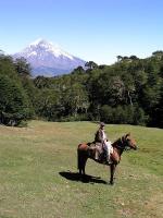 Image: Lann National Park - San Martin de los Andes