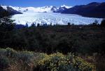 Image: Perito Moreno - Calafate