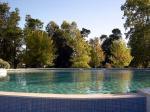 Image: El Ombu de Areco - The Pampas, Argentina