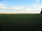 Image: Estancia San Alonso - The Iber Marshlands, Argentina