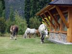 Image: Peuma Hue - Bariloche and Villa la Angostura, Argentina