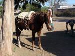 Image: Finca Santa Anita - South of Salta: Cachi and Cafayate