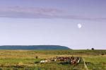 Image: Estancia Santa Cecilia - Misiones, Argentina