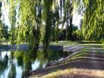 Image: Vias del Golf - Mendoza, Argentina