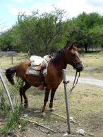 Image: Estancia La Constancia - Crdoba, Argentina