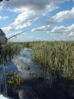 Image: Pir Lodge - The Iber Marshlands, Argentina