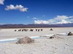 Image: Salinas Grande - Altiplano