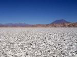 Image: Tolar Grande - Altiplano