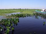 Image: San Juan Poriahu - The Iber Marshlands