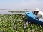 Image: San Juan Poriahu - The Iber Marshlands, Argentina