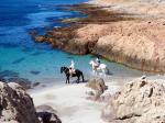 Image: Bahia Bustamante - Valds Peninsula, Argentina