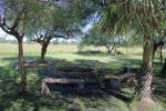 Image: Casa de Esteros - The Iber Marshlands, Argentina