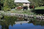 Image: Estancia Huechahue - San Martin de los Andes, Argentina