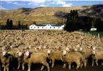 Image: Estancia Anita - Calafate