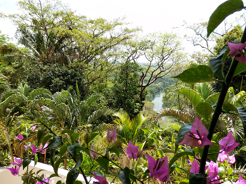 BZ0518ED185_copal-tree-lodge-canopy-villa.jpg [© Last Frontiers Ltd]