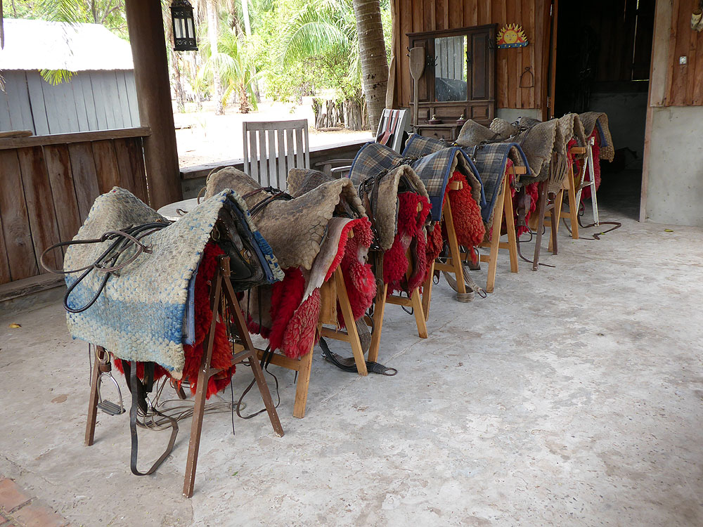 083BR1910SM_pantanal-baia-das-pedras-tack.jpg [© Last Frontiers Ltd]