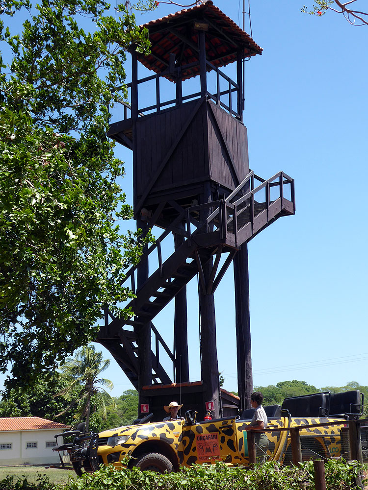 310BR1910SM_pantanal-caiman-baiazinha-viewing-tower.jpg [© Last Frontiers Ltd]