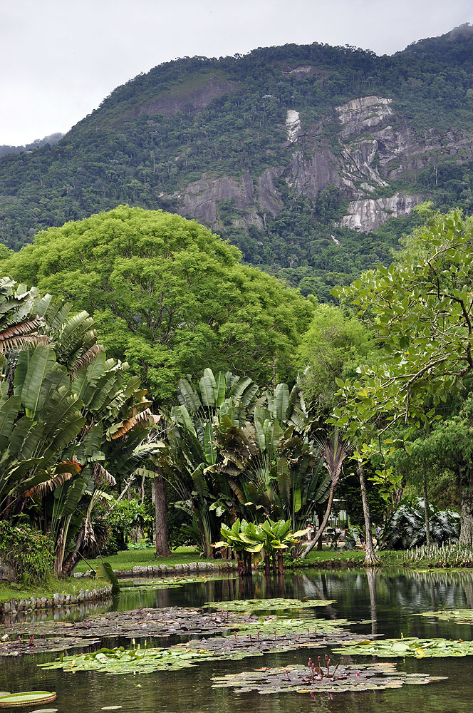 BR-Stephen-Harris_Jardim_Botanico_Rio_083.jpg [© Last Frontiers Ltd]