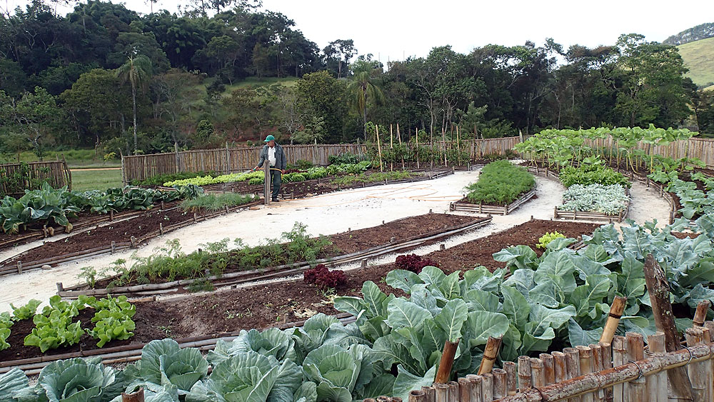 BR0519NR0526_ibitipoca-engenho-organic-vegetable-garden.jpg [© Last Frontiers Ltd]