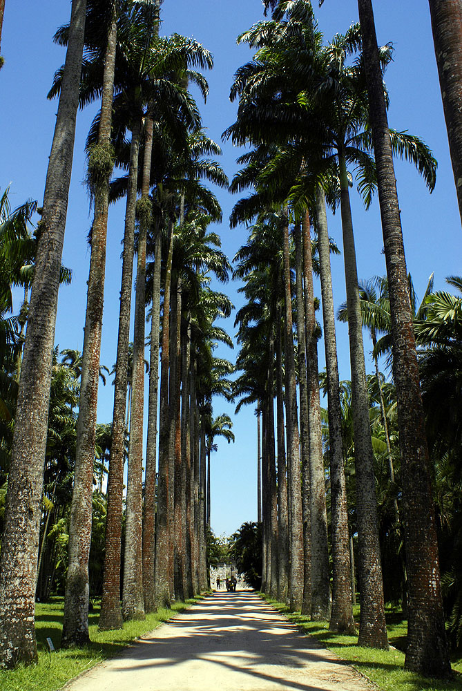 BR07BL018_rio-jardim-botanico.jpg [© Last Frontiers Ltd]