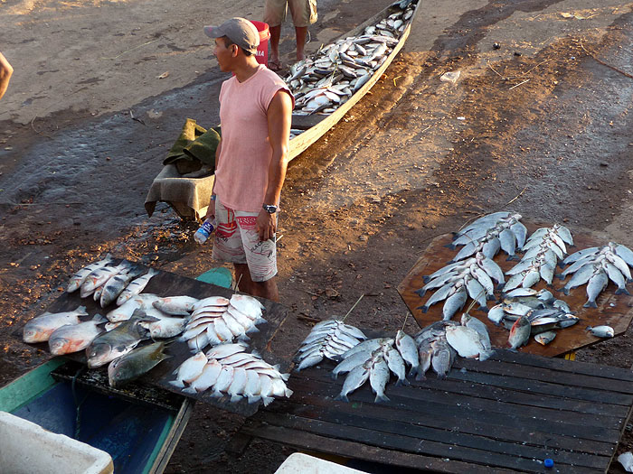 BR0808GO026_manaus.jpg [© Last Frontiers Ltd]