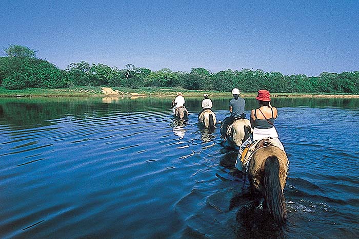 BR0900SHB28_rio_negro_horses.jpg [© Last Frontiers Ltd]