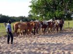 Image: Baia das Pedras - Pantanal lodges