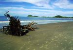 Image: Ilha do Mel - Curitiba, Morretes and the Atlantic rainforest