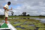 Flotel Piranha - Amazon lodges and cruises, Brazil