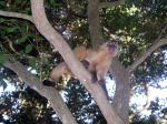 Image: Araras Lodge - Pantanal lodges