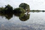 Image: Pantanal - Pantanal lodges