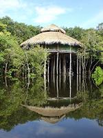 Image: Juma Lodge - Amazon lodges and cruises, Brazil