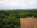 Image: Mangabeiras - Morro de So Paulo, Boipeba and Praia do Forte, Brazil