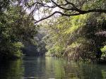 Image: Fazenda Mimosa - Bonito