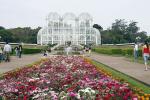 Curitiba - Curitiba, Morretes and the Atlantic rainforest, Brazil