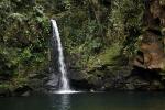 Image: Sebui Lodge - Curitiba, Morretes and the Atlantic rainforest