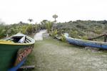 Image: Grajagan Surf Resort - Curitiba, Morretes and the Atlantic rainforest, Brazil