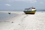 Image: Ilha do Mel - Curitiba, Morretes and the Atlantic rainforest