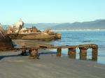 Image: Ilha do Papagaio - Florianopolis and the southern coasts, Brazil