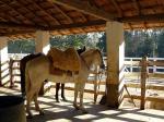 Image: Fazenda Catuaba - Paraty, Brazil