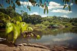 Image: Cristalino Lodge - Alta Floresta