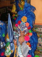 Image: Carnival costumes - Rio de Janeiro