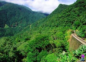 Curitiba, Morretes and the Atlantic rainforest image