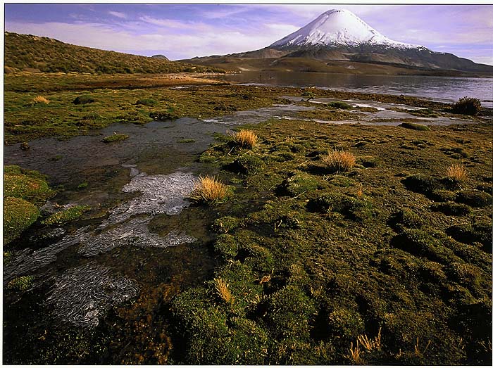 Bob_Pearson_Parinacota.jpg [© Last Frontiers Ltd]