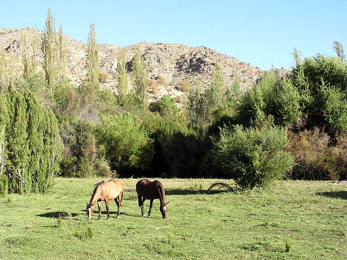 CH0304EP413_hacienda_los_andes.jpg [© Last Frontiers Ltd]